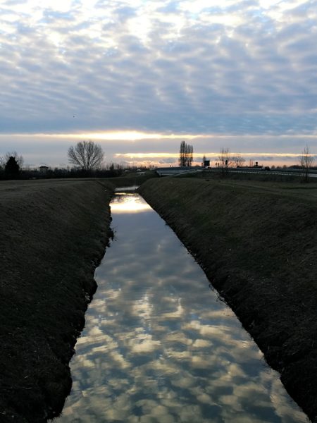 the sky is mirrored