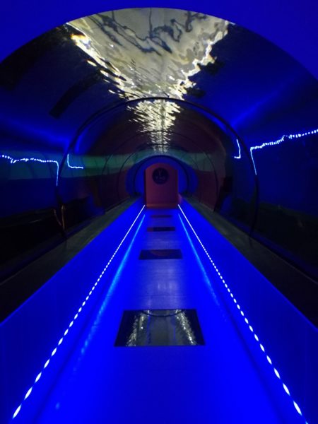 Swimming pool tunnel huawei p9