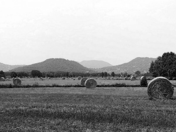 Hay bales huawei p9