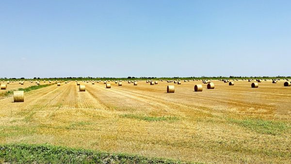 Hay bales huawei p9