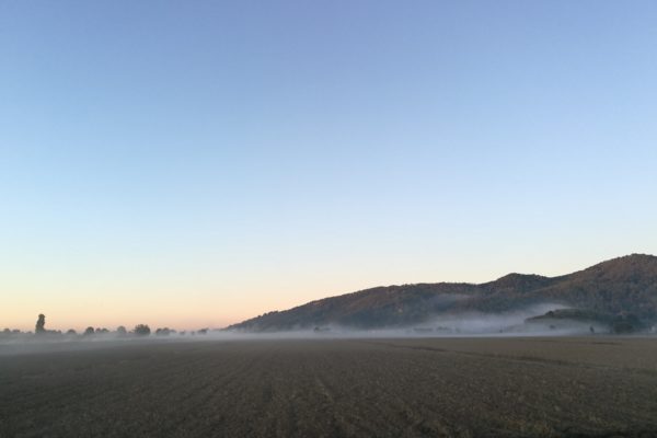 Mist huawei p9