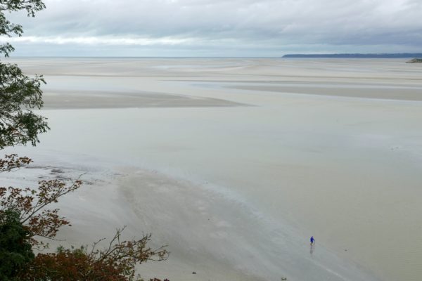 Low tide pana lx100