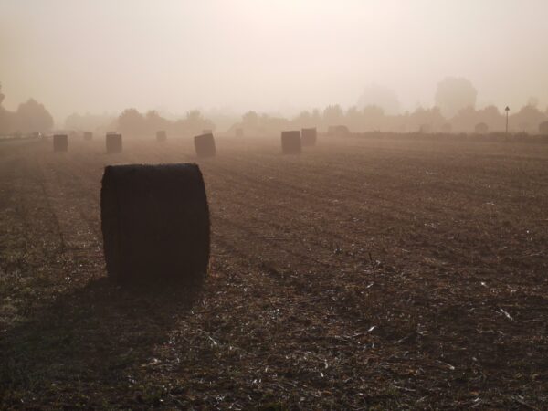 Hay bales huawei p30